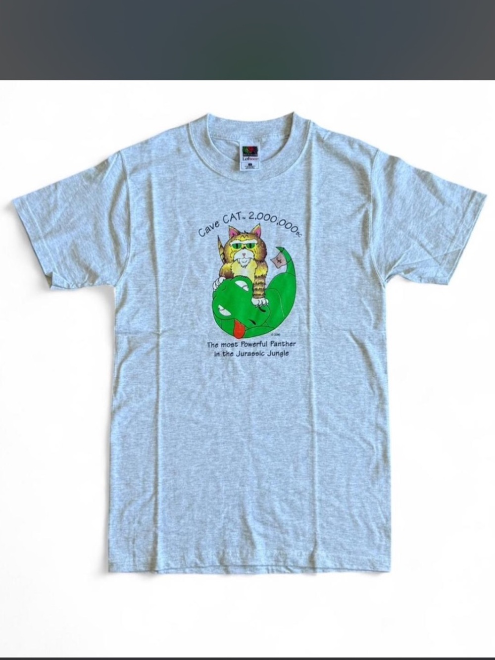 Fruit of the Loom Gray vintage Graphic Tee "Cave Cat"